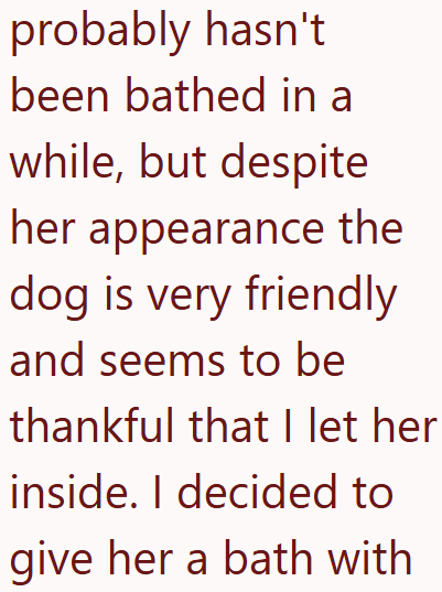 probably hasn't been bathed in a while, but despite her appearance the dog is very friendly and seems to be thankful that I let her inside. I decided to give her a bath with