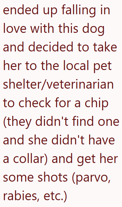 ended up falling in love with this dog and decided to take her to the local pet shelter/veterinarian to check for a chip (they didn't find one and she didn't have a collar) and get her some shots (parvo, rabies, etc.)