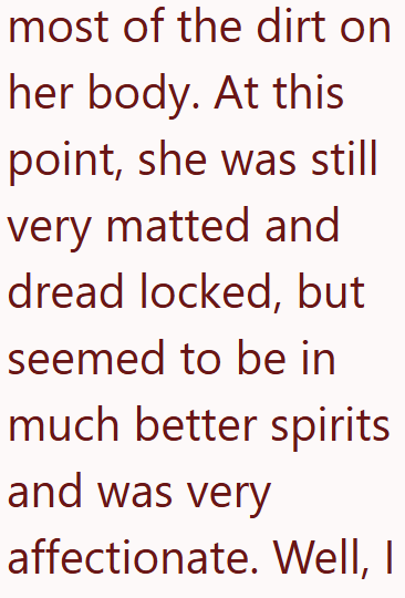 most of the dirt on her body. At this point, she was still very matted and dread locked, but seemed to be in much better spirits and was very affectionate. Well, I