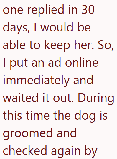 one replied in 30 days, I would be able to keep her. So, I put an ad online immediately and waited it out. During this time the dog is groomed and checked again by