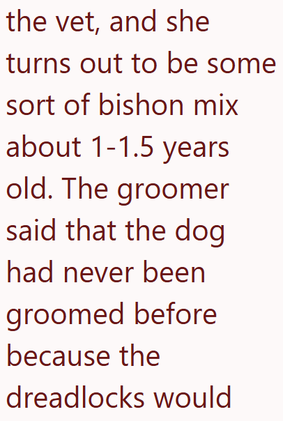 the vet, and she turns out to be some sort of bishon mix about 1-1.5 years old. The groomer said that the dog had never been groomed before because the dreadlocks would