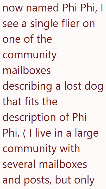 now named Phi Phi, I see a single flier on one of the community mailboxes describing a lost dog that fits the description of Phi Phi. (I live in a large community with several mailboxes and posts, but only