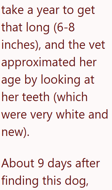 take a year to get that long (6-8 inches), and the vet approximated her age by looking at her teeth (which were very white and new). About 9 days after finding this dog,