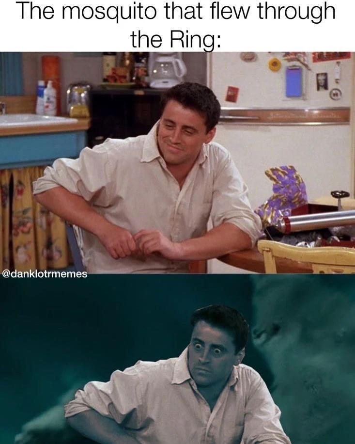 The mosquito that flew through the Ring: @danklotrmemes