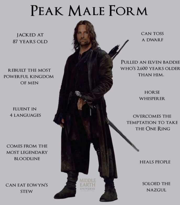 PEAK MALE FORM JACKED AT 87 YEARS OLD CAN TOSS A DWARF REBUILT THE MOST POWERFUL KINGDOM OF MEN PULLED AN ELVEN BADDIE WHO'S 2,600 YEARS OLDER THAN HIM. FLUENT IN 4 LANGUAGES COMES FROM THE MOST LEGENDARY BLOODLINE HORSE WHISPERER OVERCOMES THE TEMPTATION TO TAKE THE ONE RING HEALS PEOPLE MIDDLE EARTH SOLOED THE CAN EAT EOWYN'S STEW UNIVERSE NAZGUL