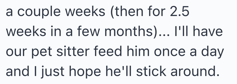 a couple weeks (then for 2.5 weeks in a few months)... I'll have our pet sitter feed him once a day and I just hope he'll stick around.