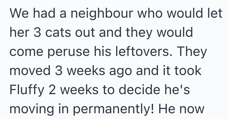 We had a neighbour who would let her 3 cats out and they would come peruse his leftovers. They moved 3 weeks ago and it took Fluffy 2 weeks to decide he's moving in permanently! He now