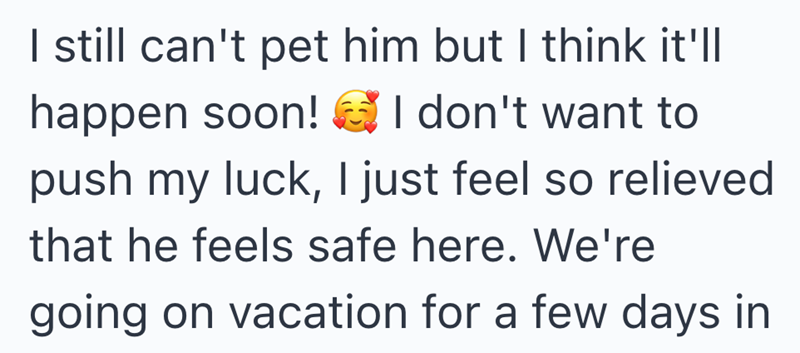 I still can't pet him but I think it'll happen soon! I don't want to push my luck, I just feel so relieved that he feels safe here. We're going on vacation for a few days in