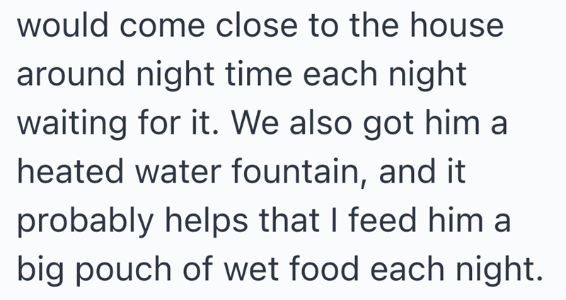 would come close to the house around night time each night waiting for it. We also got him a heated water fountain, and it probably helps that I feed him a big pouch of wet food each night.