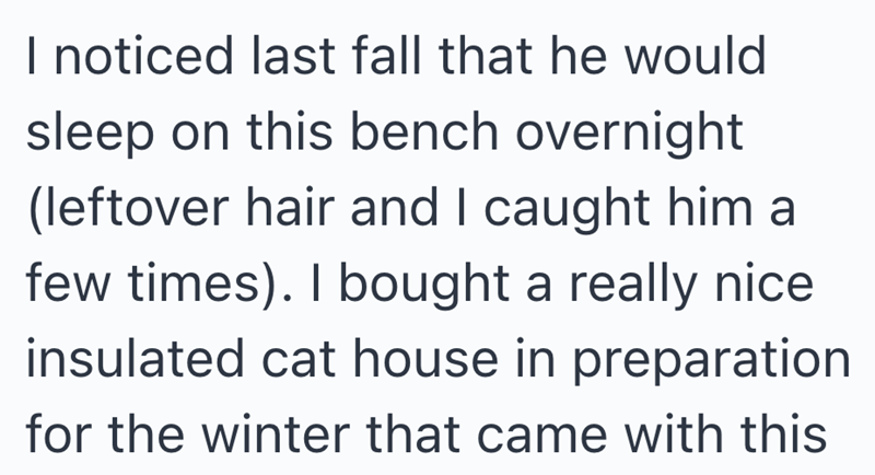 I noticed last fall that he would sleep on this bench overnight (leftover hair and I caught him a few times). I bought a really nice insulated cat house in preparation for the winter that came with this