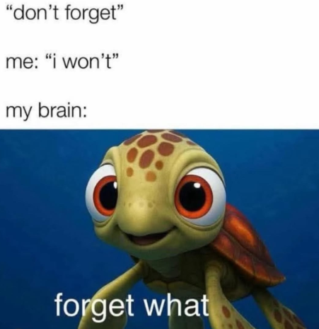"don't forget" me: "i won't" my brain: forget what