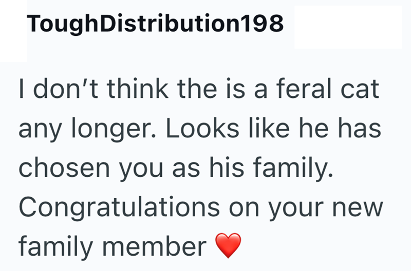 Tough Distribution198 I don't think the is a feral cat any longer. Looks like he has chosen you as his family. Congratulations on your new family member