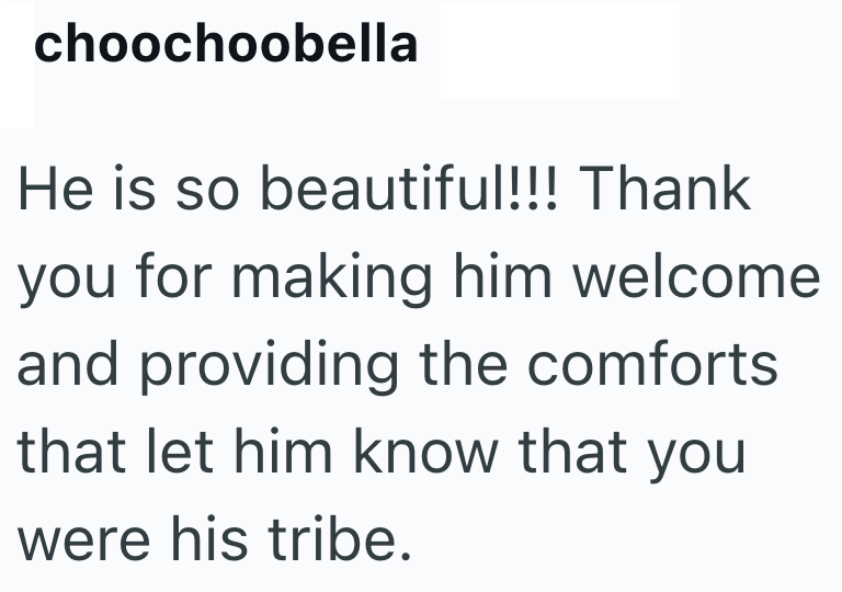 choochoobella He is so beautiful!!! Thank you for making him welcome and providing the comforts that let him know that you were his tribe.
