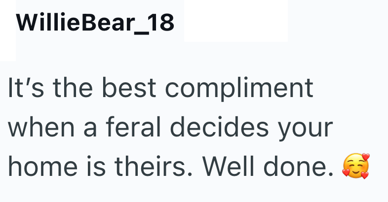 WillieBear 18 It's the best compliment when a feral decides your home is theirs. Well done.
