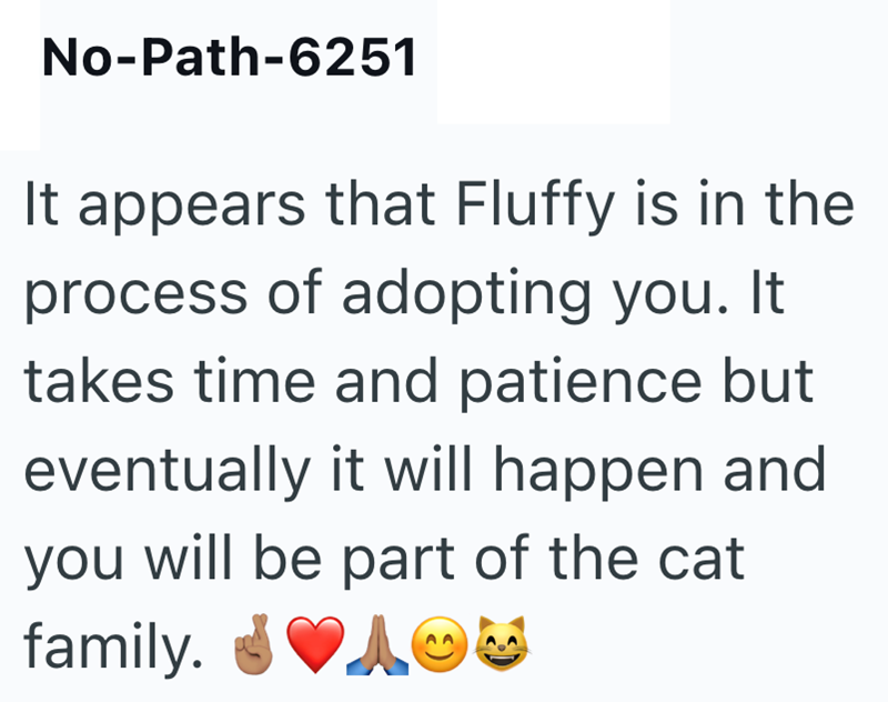No-Path-6251 It appears that Fluffy is in the process of adopting you. It takes time and patience but eventually it will happen and you will be part of the cat family.