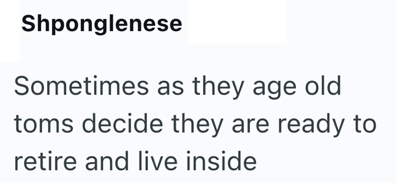 Shponglenese Sometimes as they age old toms decide they are ready to retire and live inside