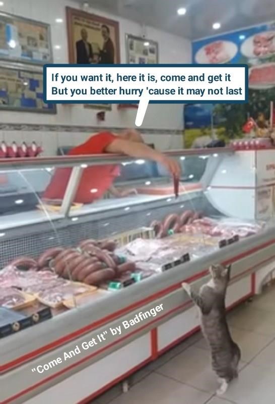 Cheezburger Image 10635569920