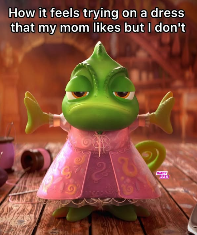 How it feels trying on a dress that my mom likes but I don't GIRLY ZAR