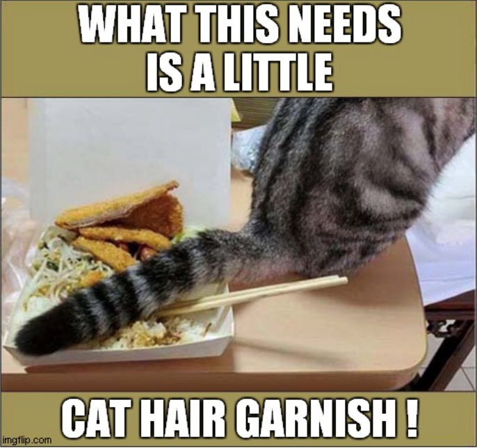 WHAT THIS NEEDS IS A LITTLE CAT HAIR GARNISH! imgflip.com