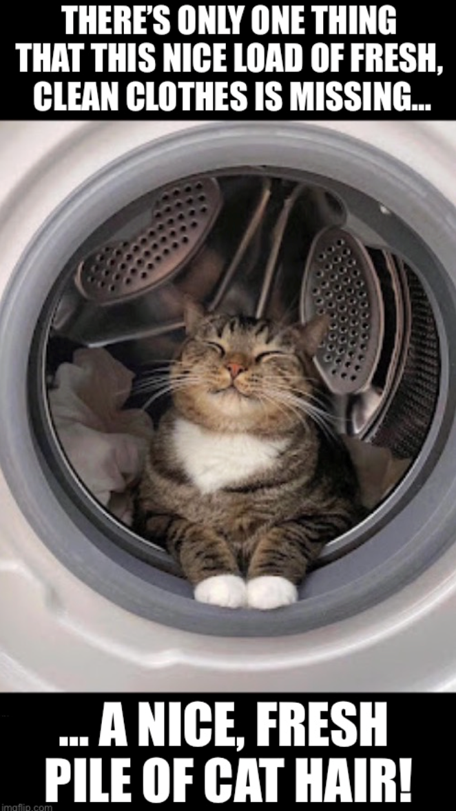 THERE'S ONLY ONE THING THAT THIS NICE LOAD OF FRESH, CLEAN CLOTHES IS MISSING... imaflip.com A NICE, FRESH PILE OF CAT HAIR!