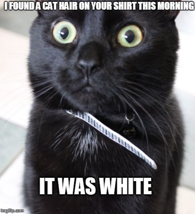 I FOUND A CAT HAIR ON YOUR SHIRT THIS MORNING imgflip.com IT WAS WHITE