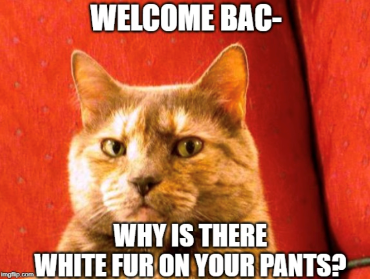 WELCOME BAC- WHY IS THERE WHITE FUR ON YOUR PANTS?