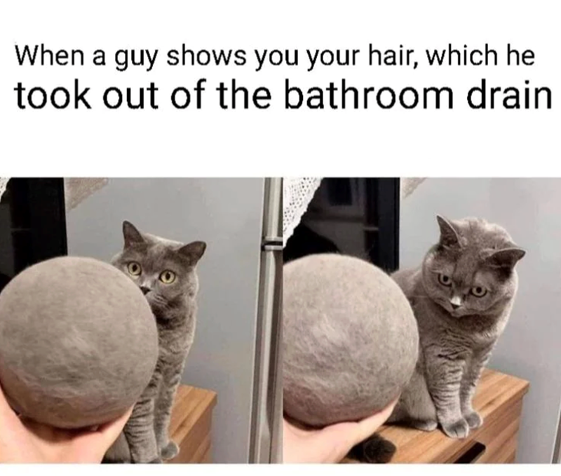 When a guy shows you your hair, which he took out of the bathroom drain