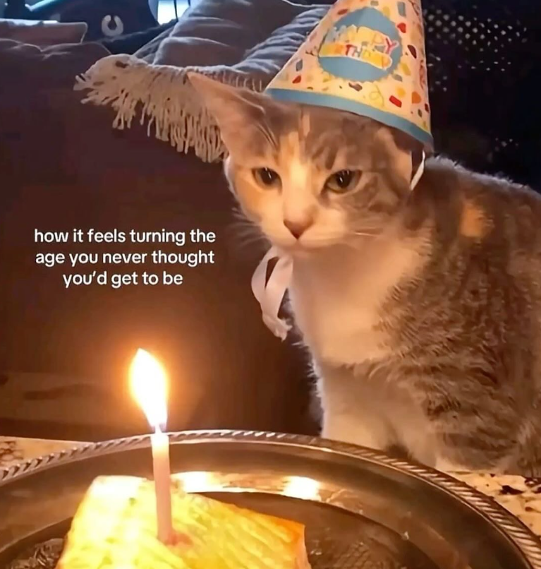how it feels turning the age you never thought you'd get to be TH
