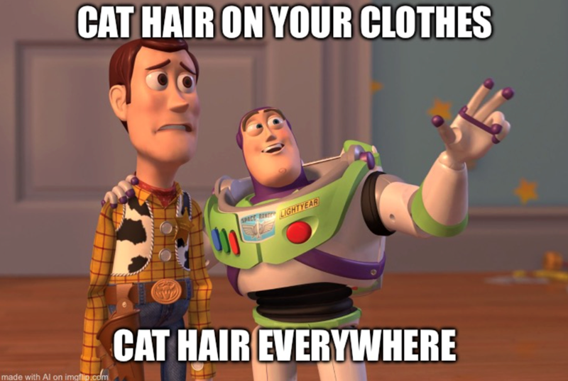 CAT HAIR ON YOUR CLOTHES SPACE RENE LIGHTYEAR made with Al on imgflip.com CAT HAIR EVERYWHERE