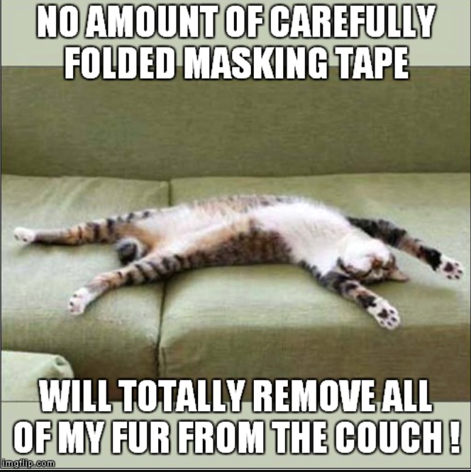 NO AMOUNT OF CAREFULLY FOLDED MASKING TAPE WILL TOTALLY REMOVE ALL OF MY FUR FROM THE COUCH! imgflip.com
