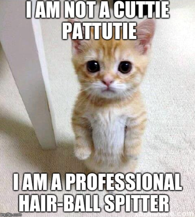 I AM NOT A CUTTIE PATTUTIE I AM A PROFESSIONAL HAIR-BALL SPITTER imgflip.com
