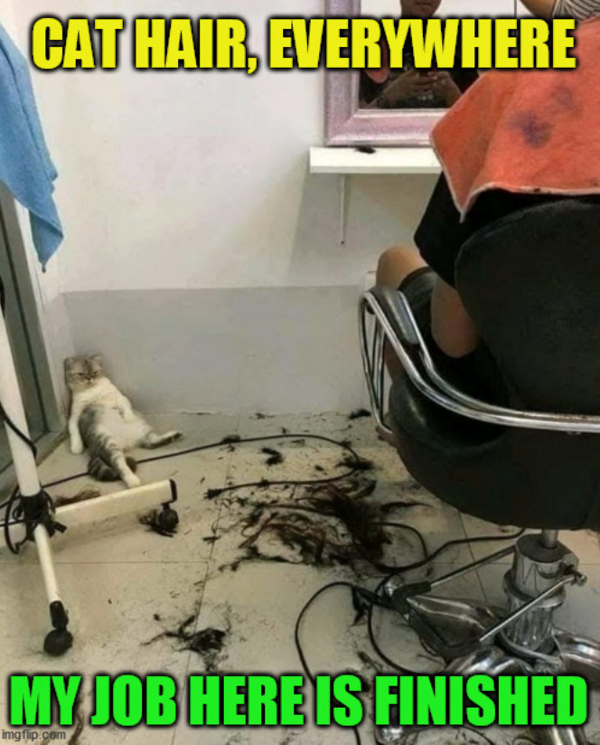 CAT HAIR, EVERYWHERE MY JOB HERE IS FINISHED imgflip.com