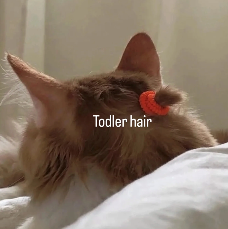 Todler hair