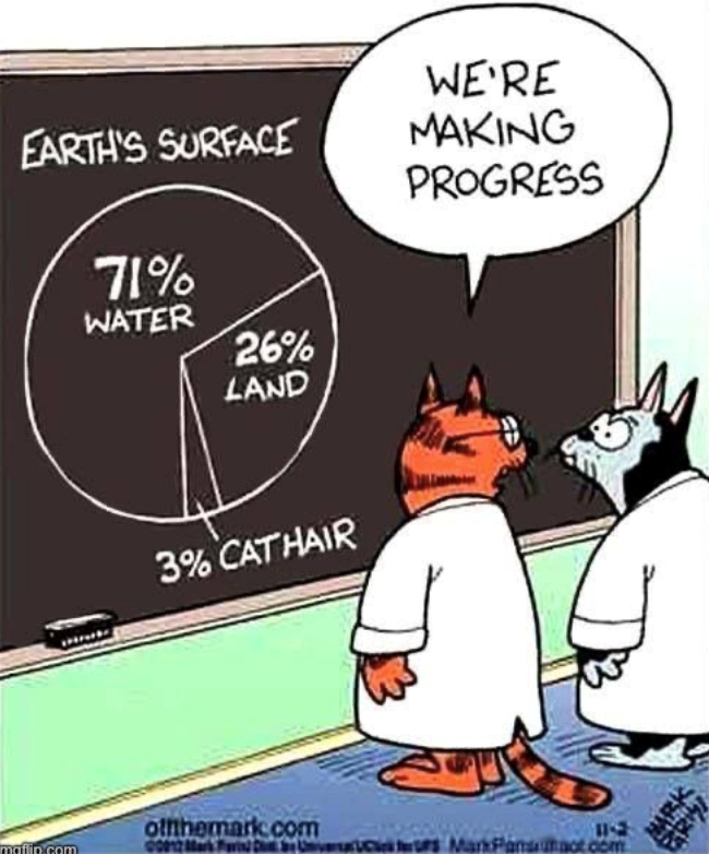 EARTH'S SURFACE WE'RE MAKING PROGRESS 71% WATER 26% LAND 3% CATHAIR offthemark.com mafin.com 00012 Marka De Un 11-2 MarkFam hact.com MARK ERM