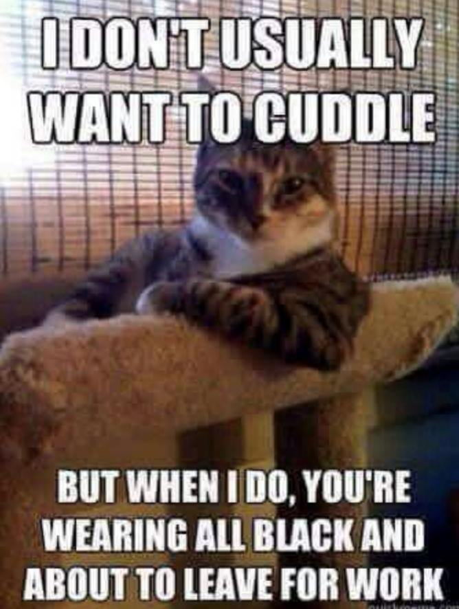 I DON'T USUALLY WANT TO CUDDLE BUT WHEN I DO, YOU'RE WEARING ALL BLACK AND ABOUT TO LEAVE FOR WORK