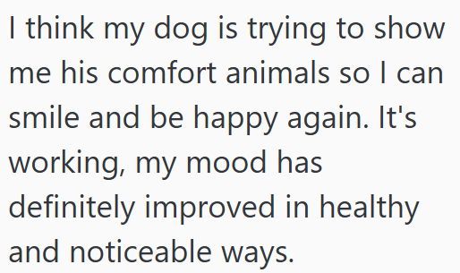I think my dog is trying to show me his comfort animals so I can smile and be happy again. It's working, my mood has definitely improved in healthy and noticeable ways.