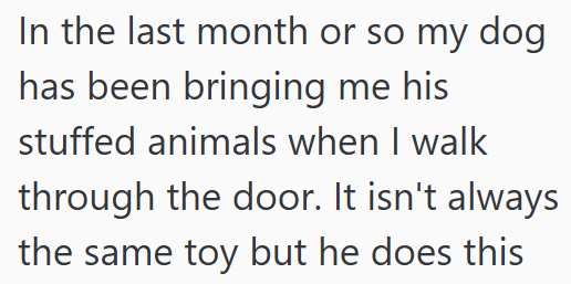 In the last month or so my dog has been bringing me his stuffed animals when I walk through the door. It isn't always the same toy but he does this