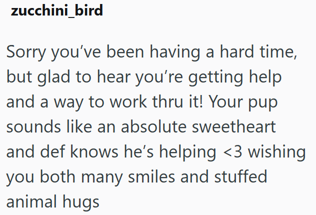 zucchini_bird Sorry you've been having a hard time, but glad to hear you're getting help and a way to work thru it! Your pup sounds like an absolute sweetheart and def knows he's helping <3 wishing you both many smiles and stuffed animal hugs