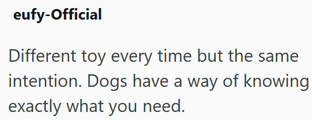 eufy-Official Different toy every time but the same intention. Dogs have a way of knowing exactly what you need.