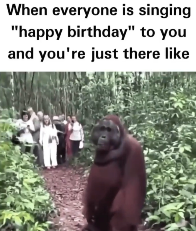 When everyone is singing "happy birthday" to you and you're just there like