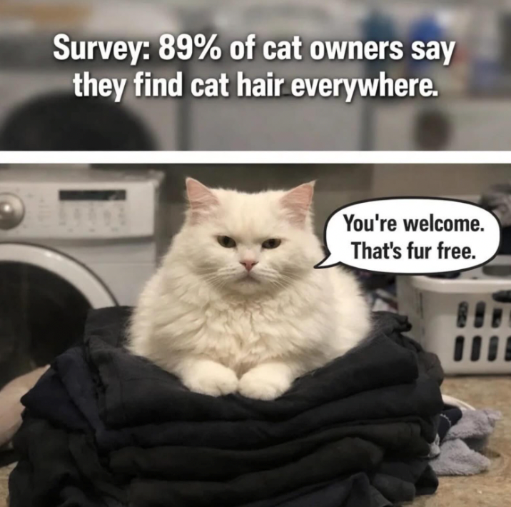 Survey: 89% of cat owners say they find cat hair everywhere. You're welcome. That's fur free.