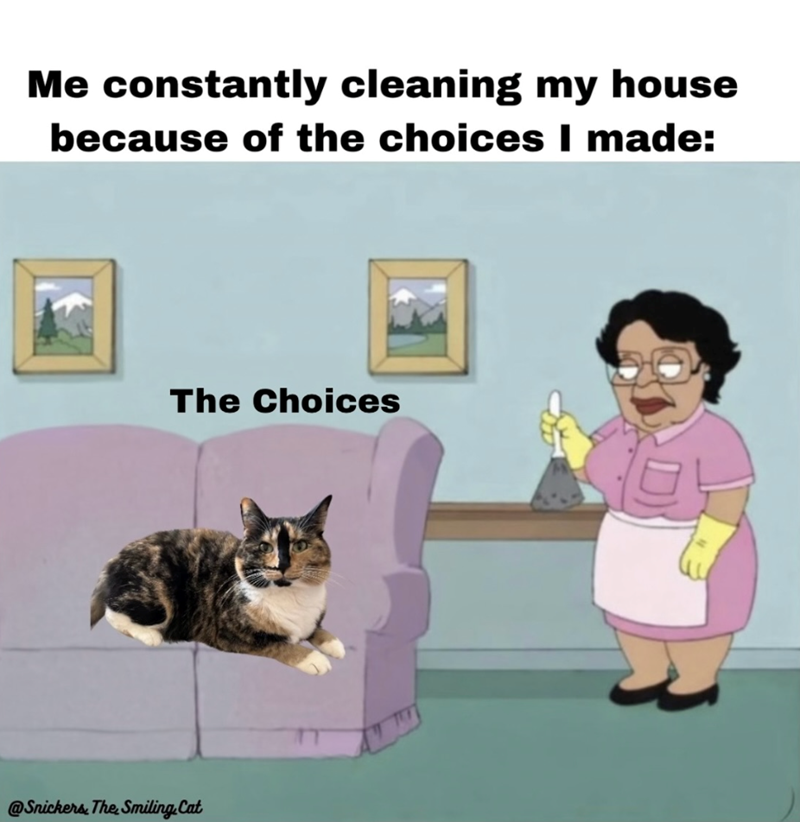 Me constantly cleaning my house because of the choices I made: The Choices @Snickers, The Smiling. Cat