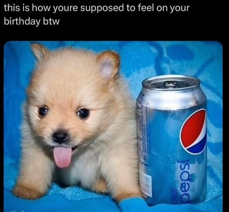this is how youre supposed to feel on your birthday btw peps