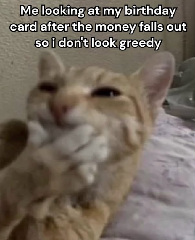 Me looking at my birthday card after the money falls out so i don't look greedy