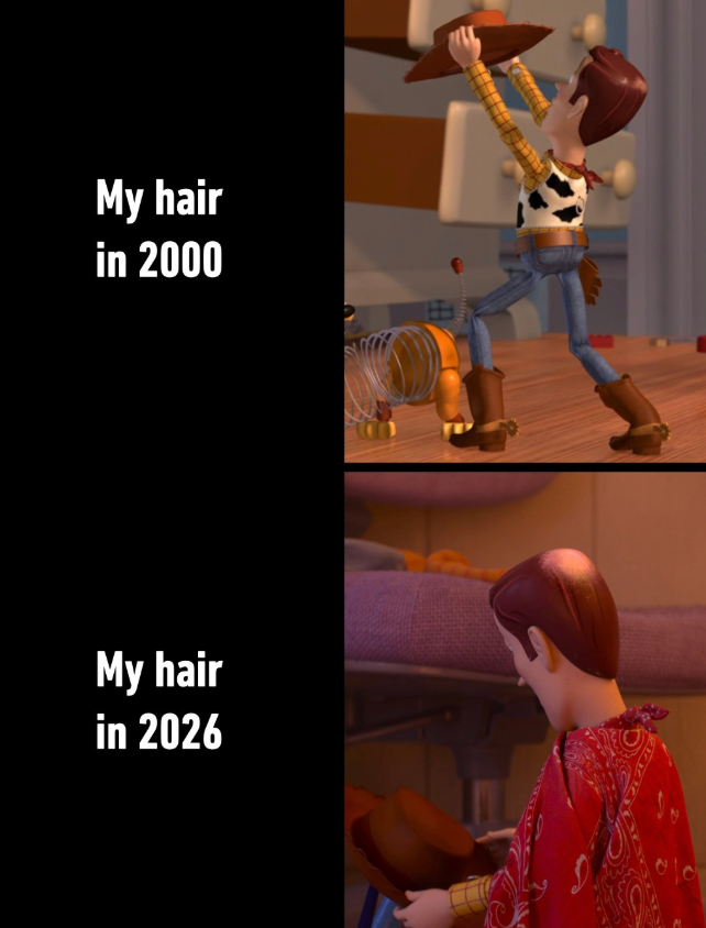 My hair in 2000 My hair in 2026 FERI