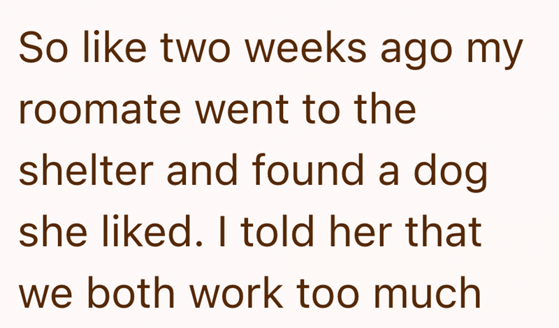 So like two weeks ago my roomate went to the shelter and found a dog she liked. I told her that we both work too much