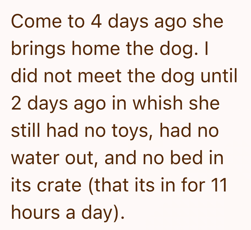 Come to 4 days ago she brings home the dog. I did not meet the dog until 2 days ago in whish she still had no toys, had no water out, and no bed in its crate (that its in for 11 hours a day).