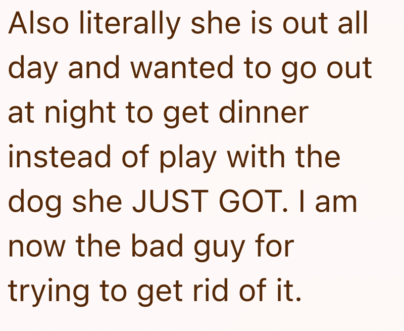 Also literally she is out all day and wanted to go out at night to get dinner instead of play with the dog she JUST GOT. I am now the bad guy for trying to get rid of it.
