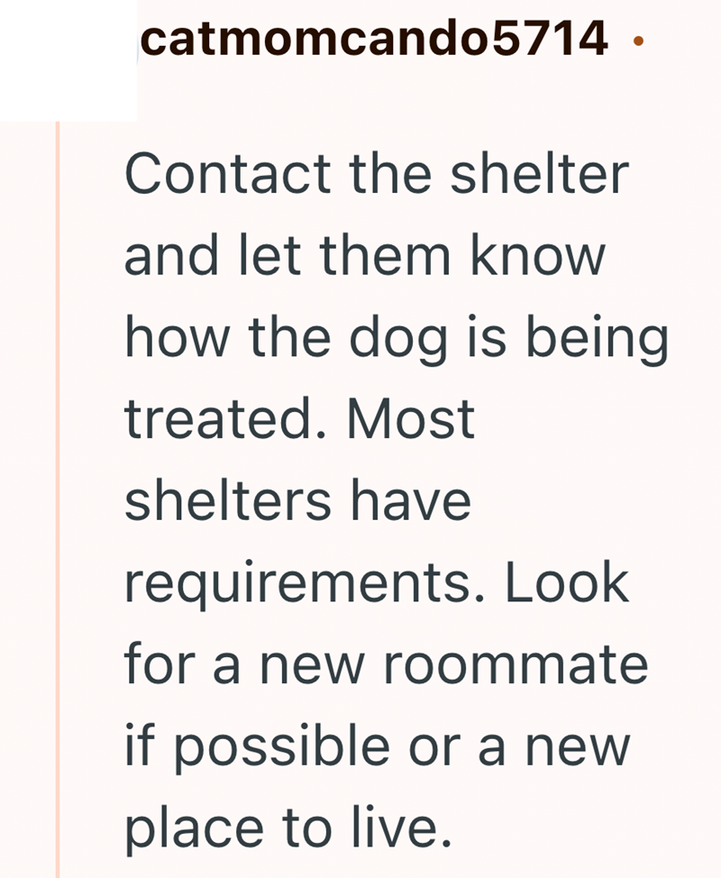 catmomcando5714. Contact the shelter and let them know how the dog is being treated. Most shelters have requirements. Look for a new roommate if possible or a new place to live.