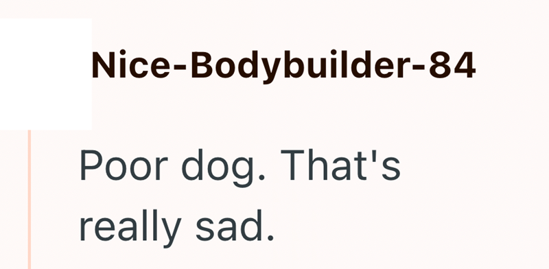Nice-Bodybuilder-84 Poor dog. That's really sad.